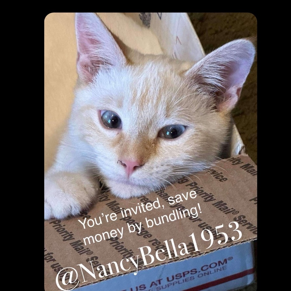 Nancy’s flyer